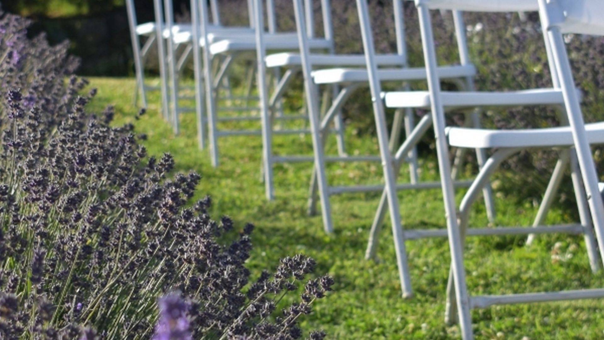 White chairs in lavender field