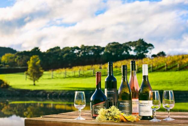 Bottles of wine with vineyard in the back