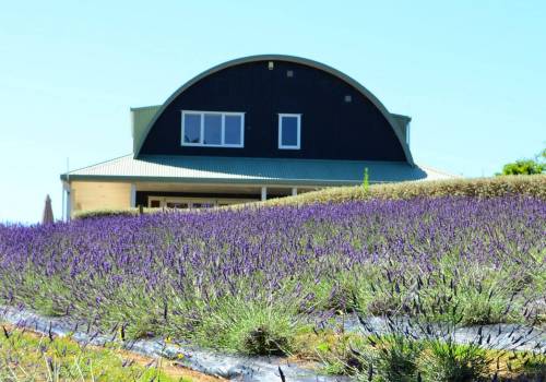 Summer 2018 final opening hours and harvest