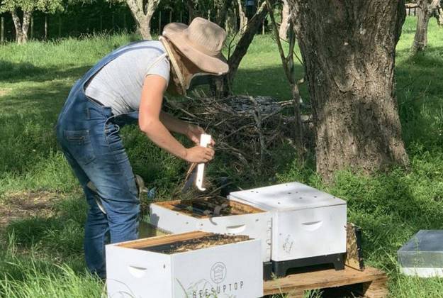 Accommodation and farm tours at Lavender Hill in Riverhead
