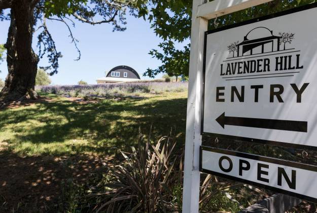 Front entrance sign of Lavender Hill