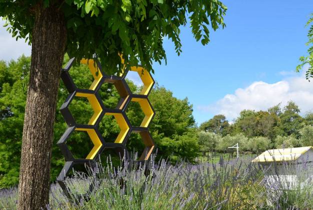Accommodation and farm tours at Lavender Hill in Riverhead