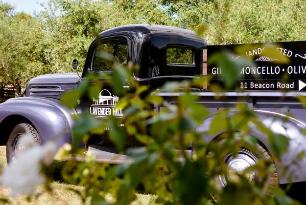 Accommodation and farm tours at Lavender Hill in Riverhead