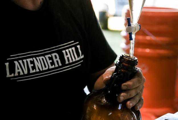 Accommodation and farm tours at Lavender Hill in Riverhead