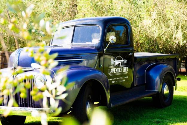 Accommodation and farm tours at Lavender Hill in Riverhead